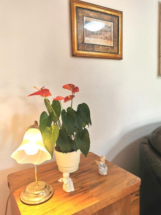 Apartament Biocic