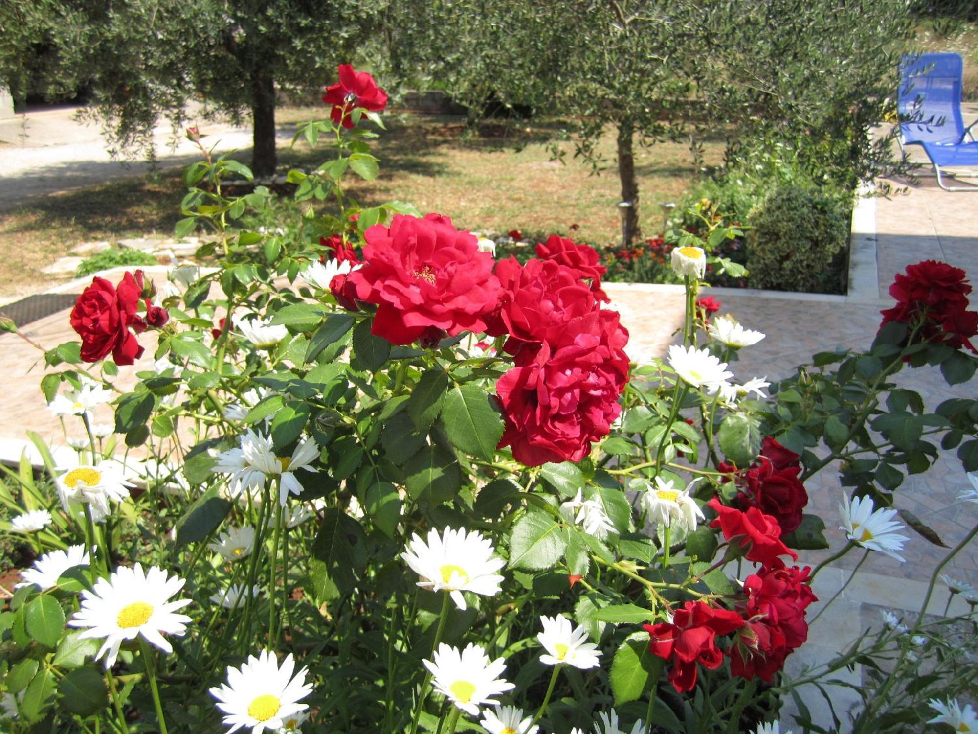 Biocic Apartament